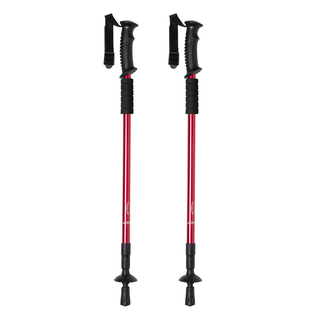 Set Bastones (lote de 20)