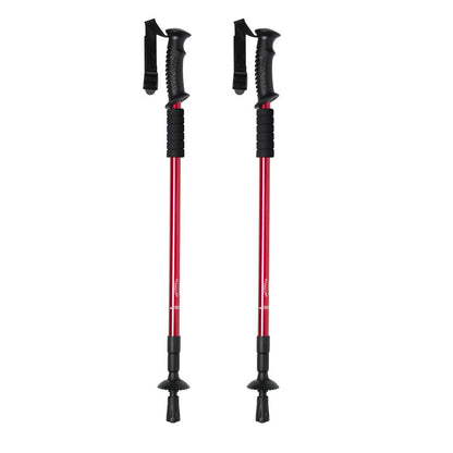 Set Bastones (lote de 20)