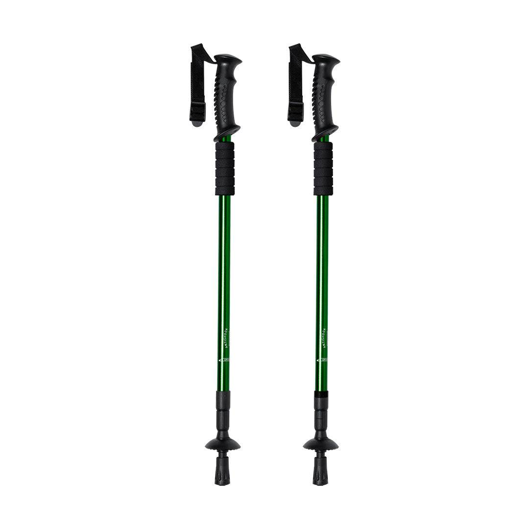 Set Bastones (lote de 20)