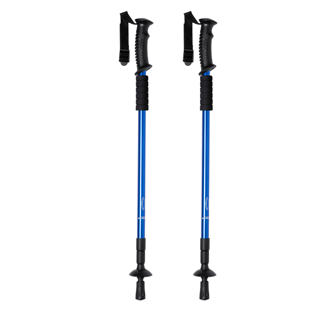 Set Bastones (lote de 20)