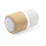 Altavoz (lote de 25)