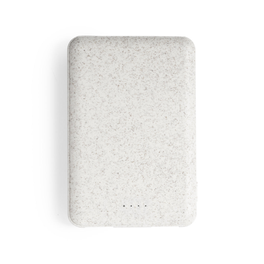 Power Bank (lote de 25)