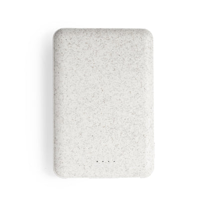 Power Bank (lote de 25)