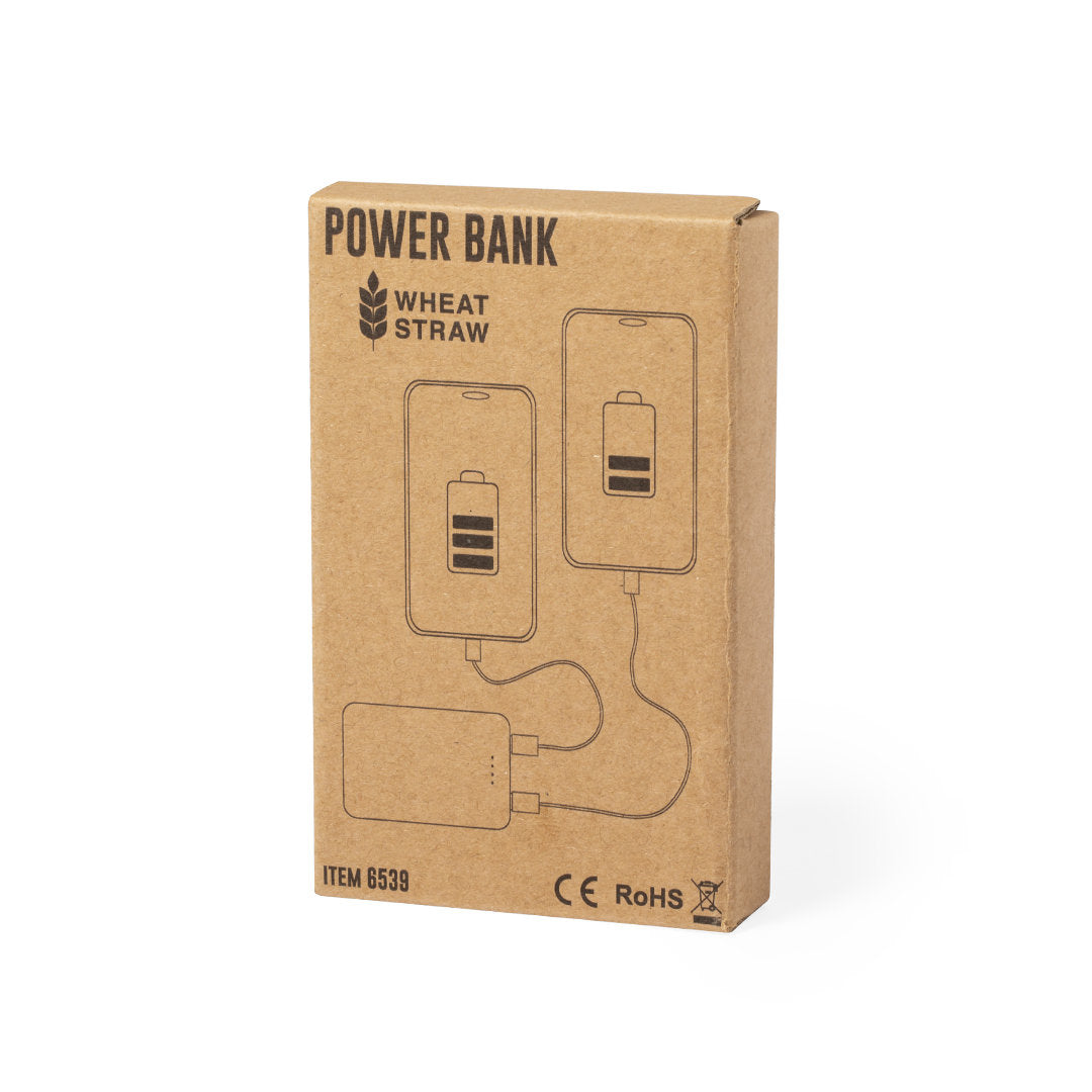 Power Bank (lote de 25)
