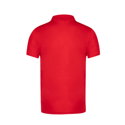 Polo (lote de 60)