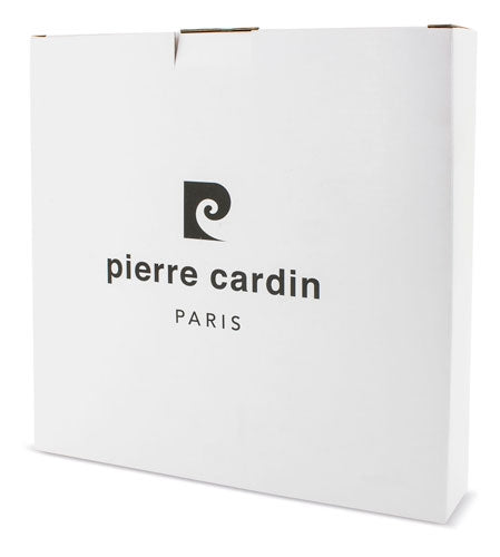 Reloj Steel Pierre Cardin
