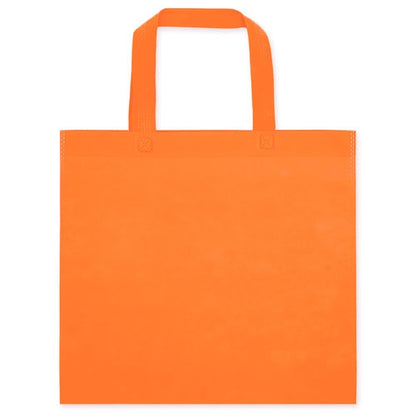 Bolsa Non Woven Economica "Lara"