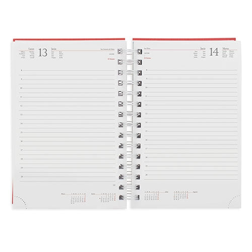 Agenda Anilla Metalizada Nick