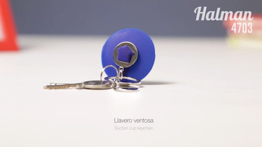 Llavero Moneda (lote de 50)